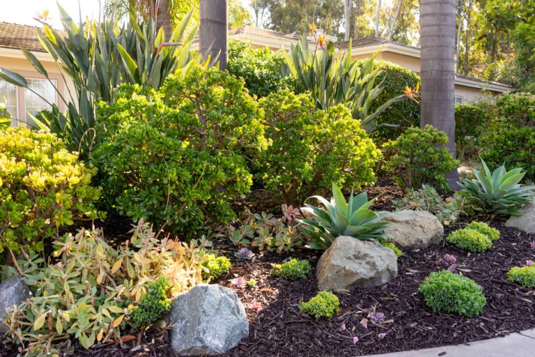 Affordable Landscaping Solutions for Victoria’s homeowners